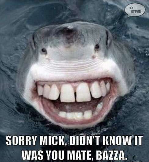Shark attack meme